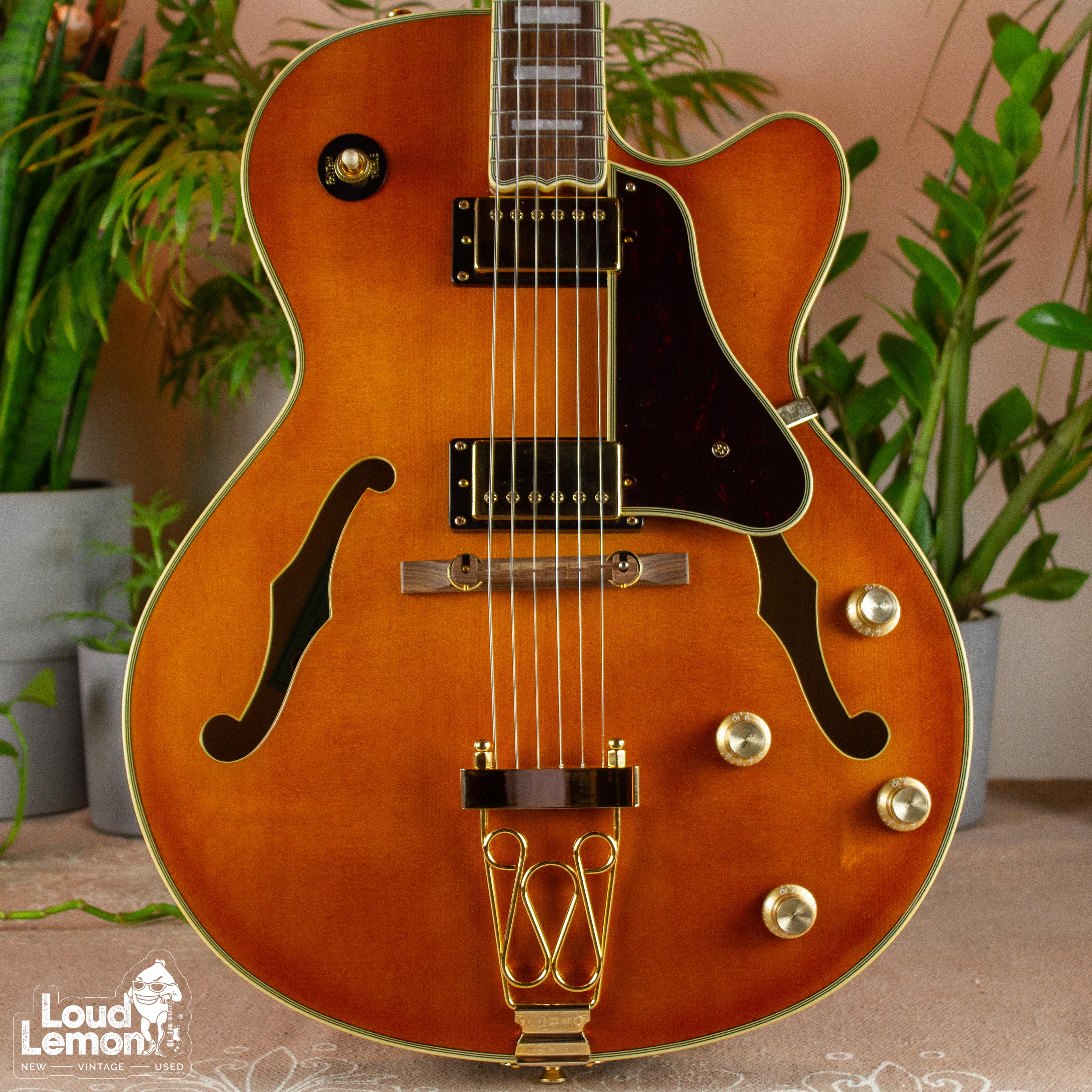 Epiphone Joe Pass Emperor Ⅱ 器材 | discovermediaworks.com